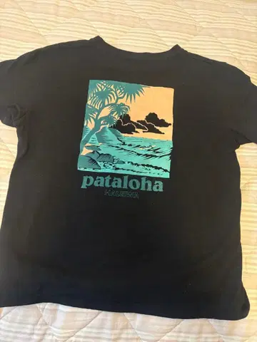 patagonia 파타로하 하레이와 한정판