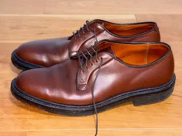 레어 ALDEN ALL WEATHER WALKER 94704