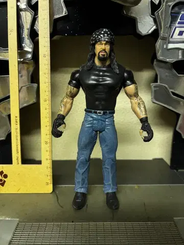 WWE The Undertaker 언더테이커