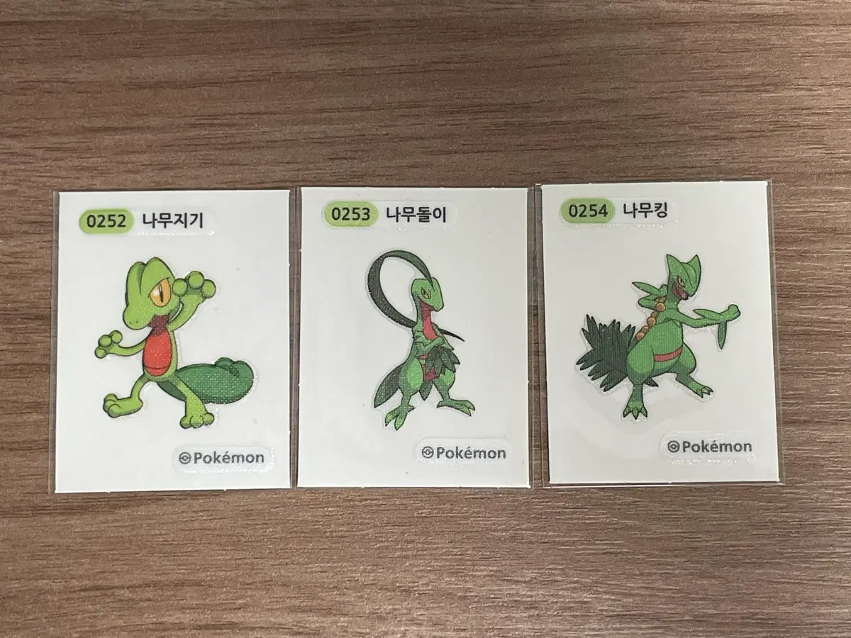 포켓몬 띠부씰 나무지기 나무돌이 나무킹