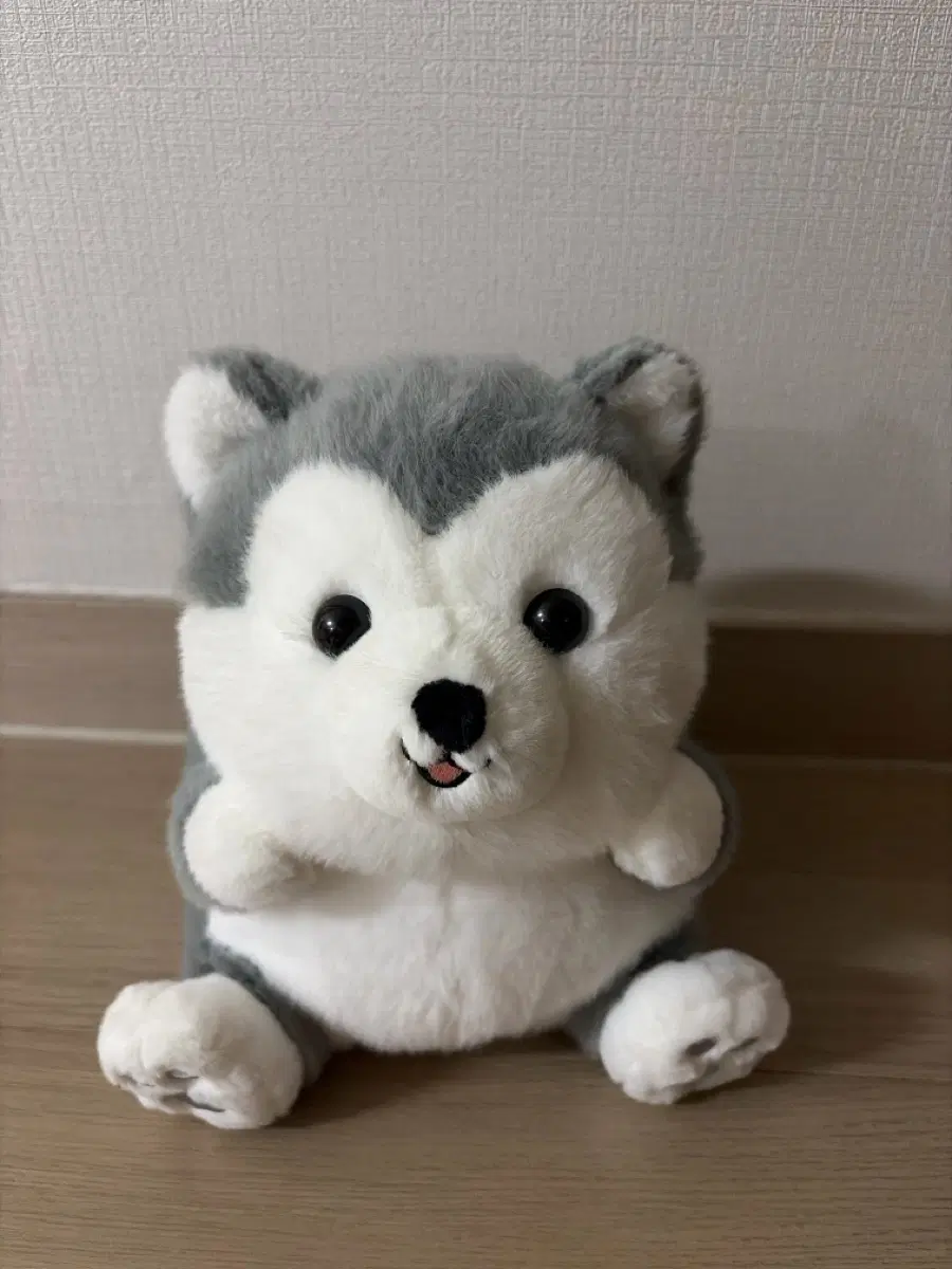 시바견 인형 팝니다