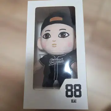EXO KAI 봉제 인형 88