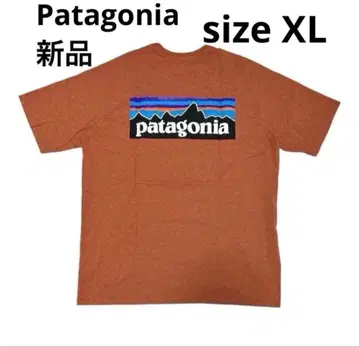 파타고니아 Patagonia 38504 티셔츠 QZCO/XL