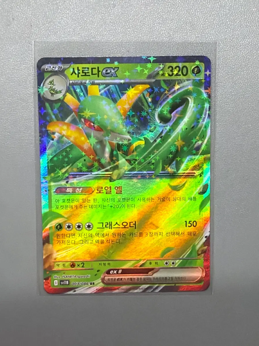 샤로다 ex RR