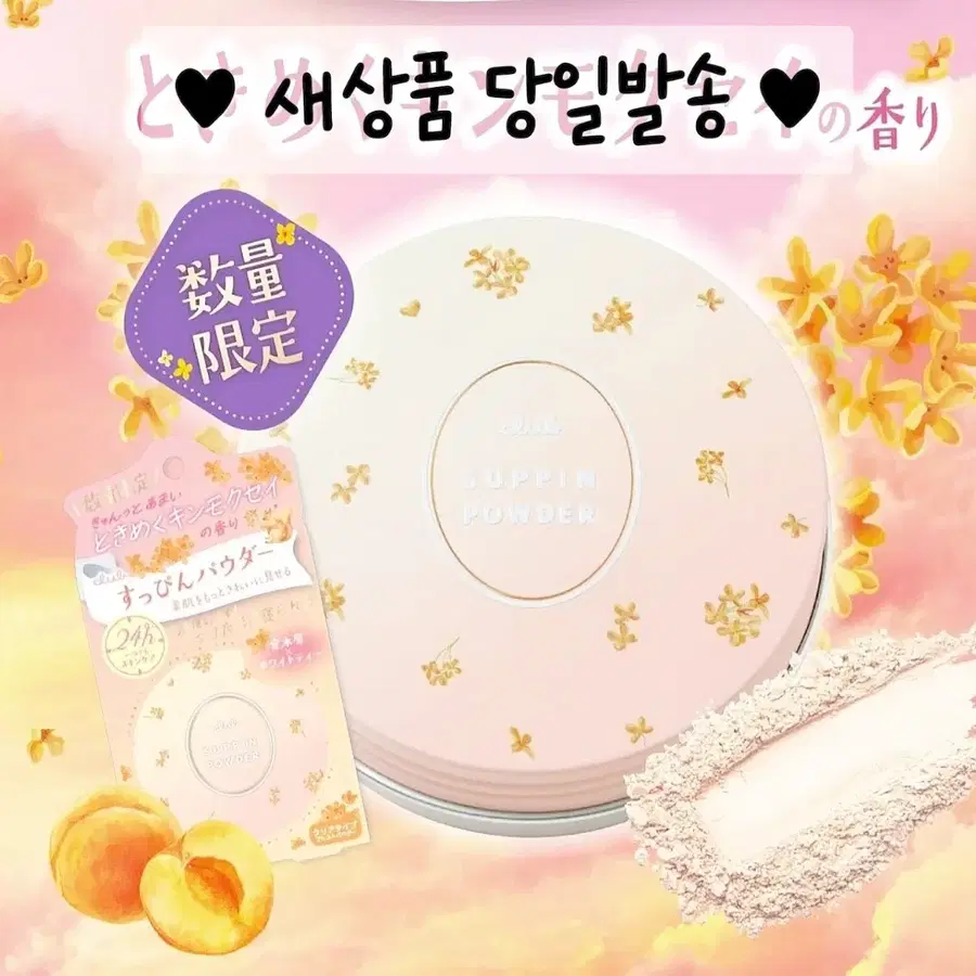 금목서 애프리콧) 슷핀 생얼 파우더 24h 살구 클럽