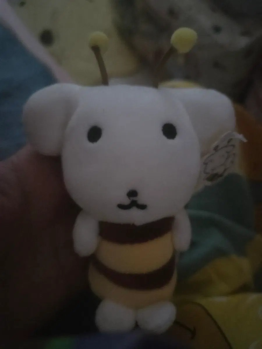 새상품:)가나디 꿀벌 인형 키링