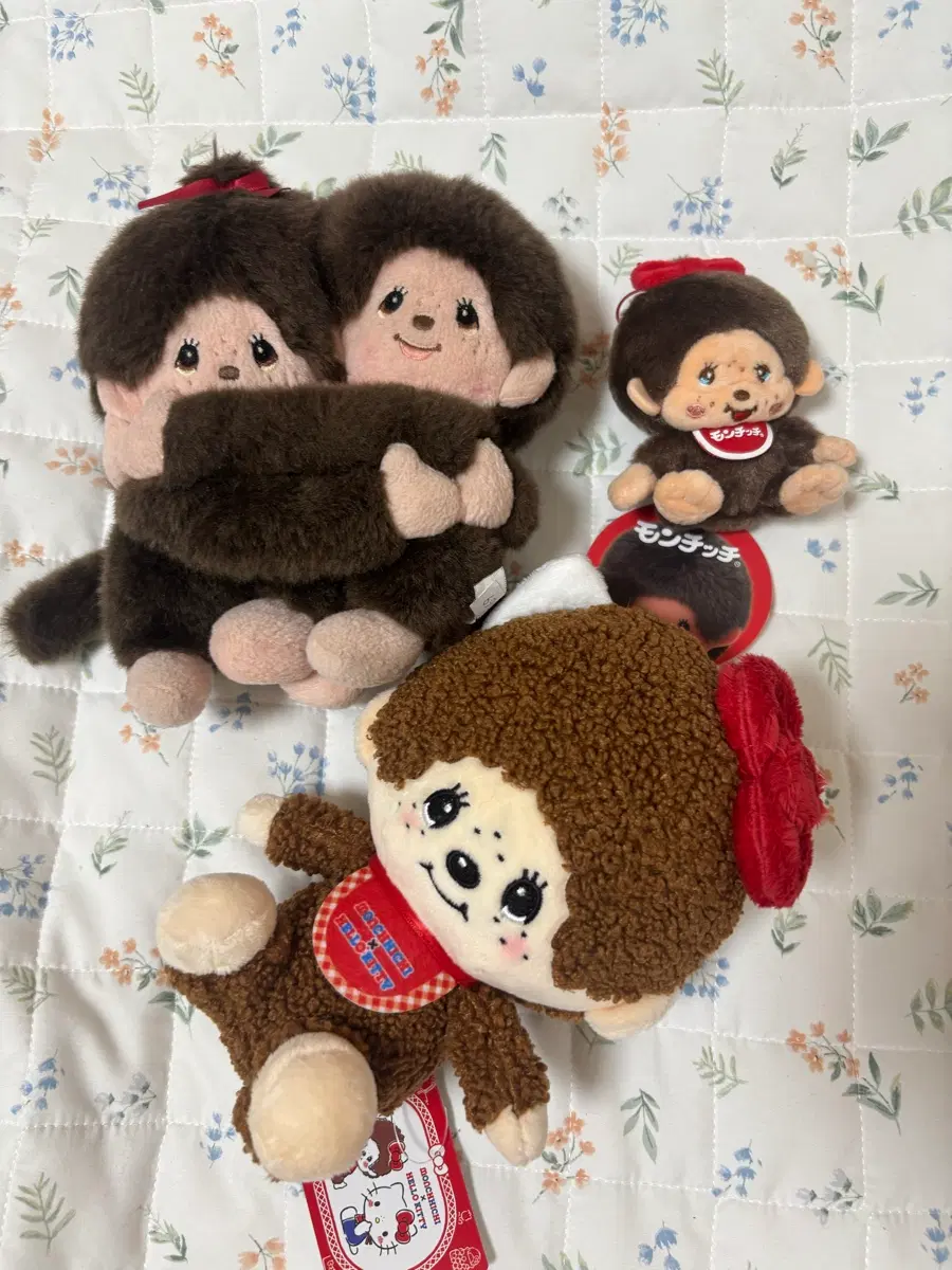 몬치치 봉제인형 일괄