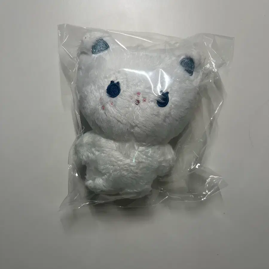 스키즈 뽁냥이 입없뽁
