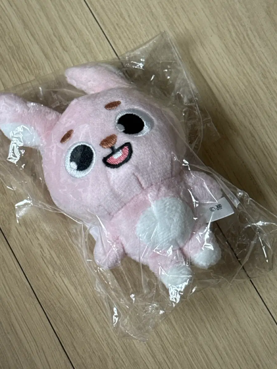 데이식스 요코하마 필 백참