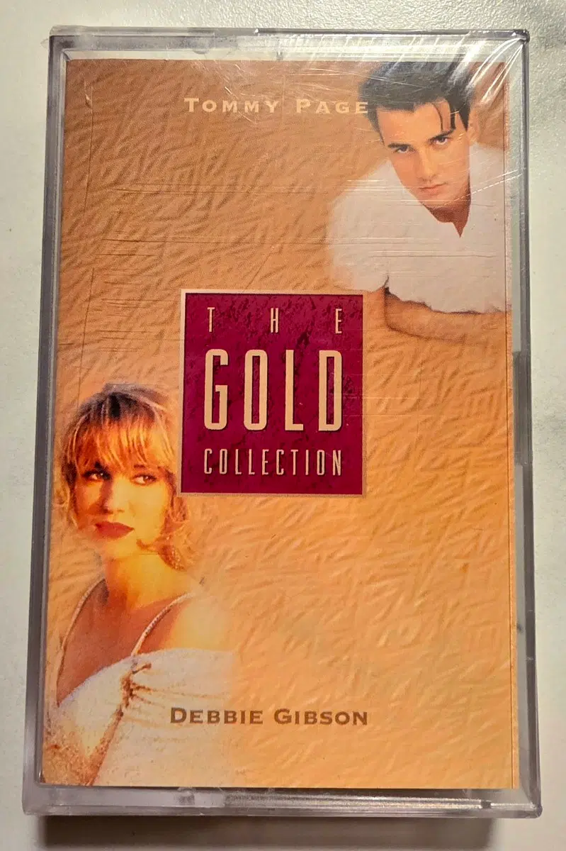 토미 페이지 & 데비 깁슨 Tommy Page 토미페이지 Debbie Gibson