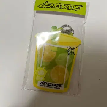 aespa LEMONADE 아크릴 포토 카드 키링 WINTER