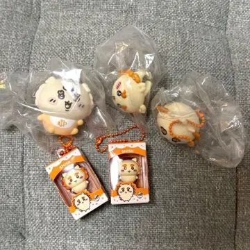 시사 5세트