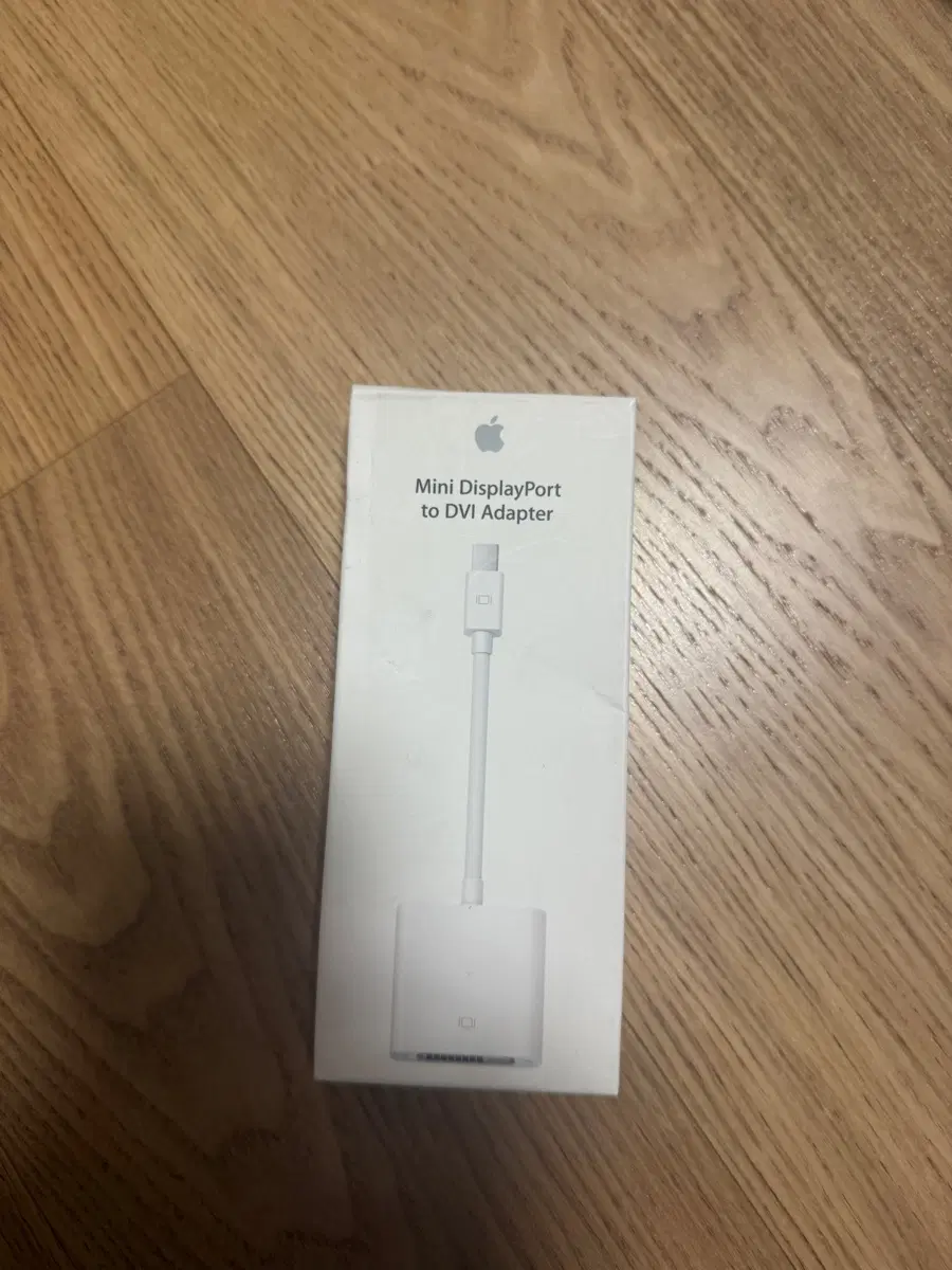 Mini DisplayPort to DVI Adapter