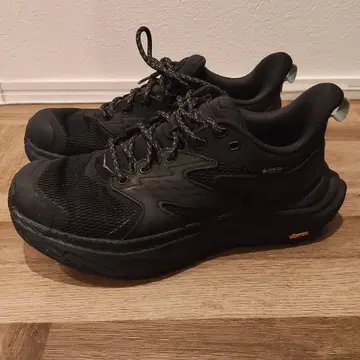 HOKA ANACAPA 2 LOW GTX / 아나카파 2 로우 GTX