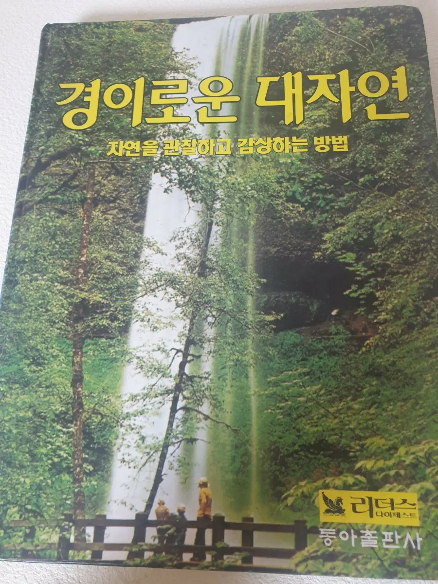 경이로운 대자면