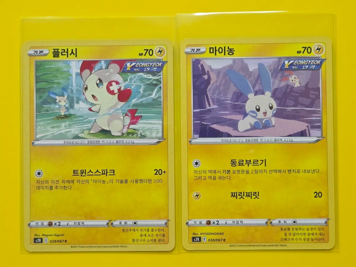 포켓몬카드 플러시 마이농 세트