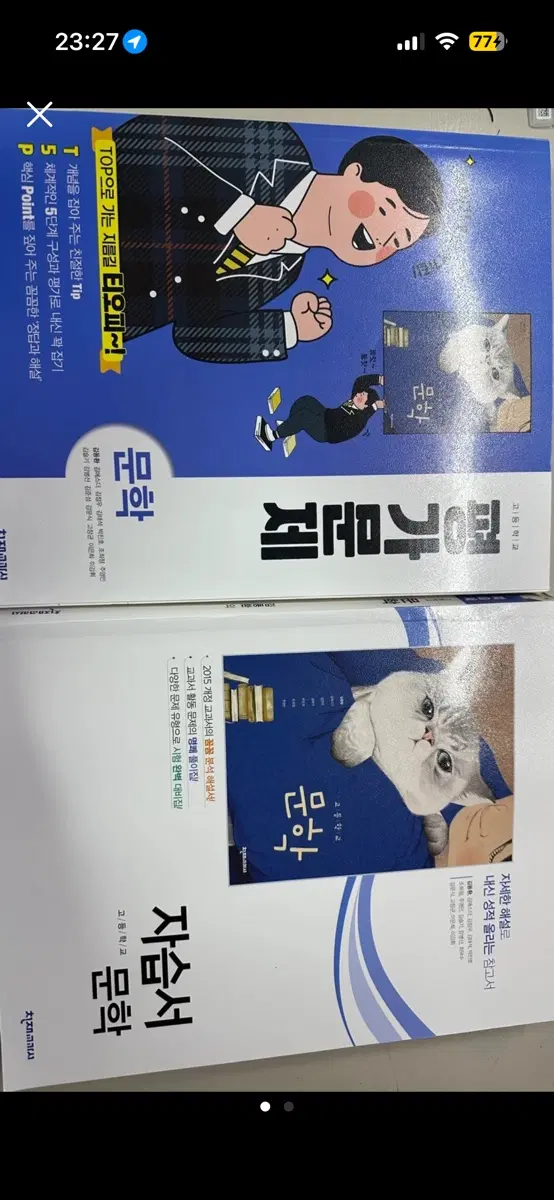 천재 김동환 문학 자습서 평가문제집