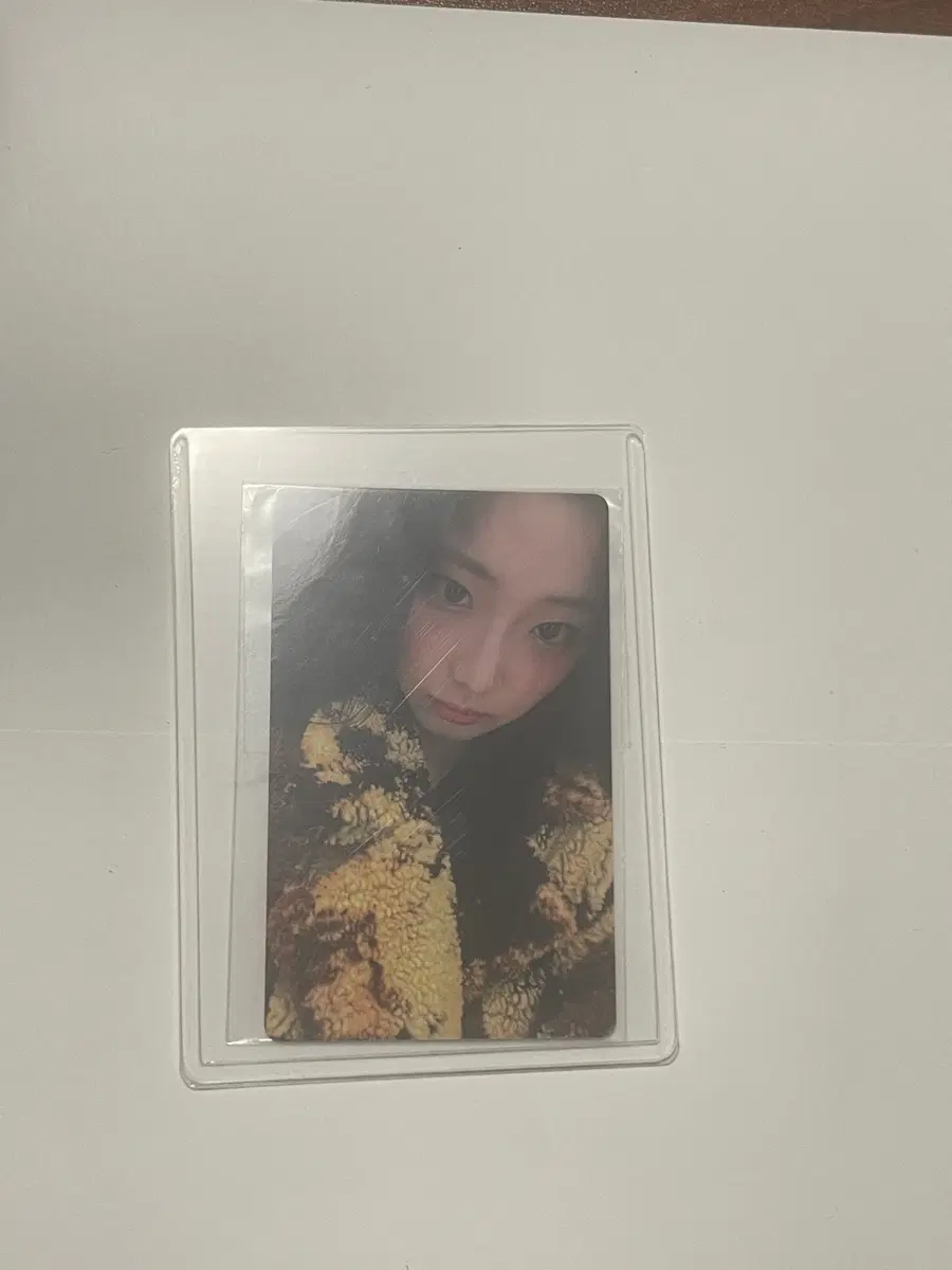 베이비몬스터 콘서트 루카 특전 포카