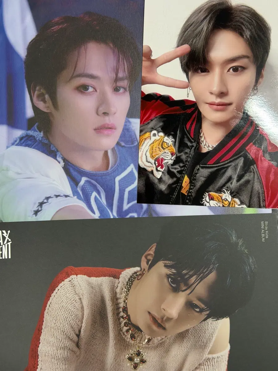스트레이키즈 리노 굿즈 일괄
