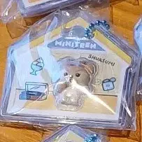 세븐틴 반다이 미니틴 젤리 참키링 샤슴이