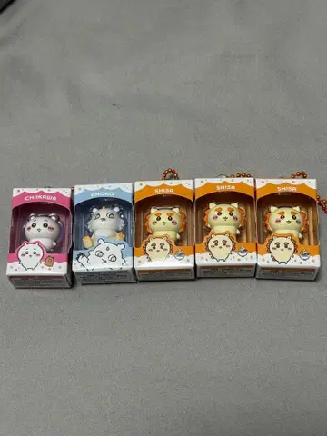 치이카와 초코 박스 5개 세트