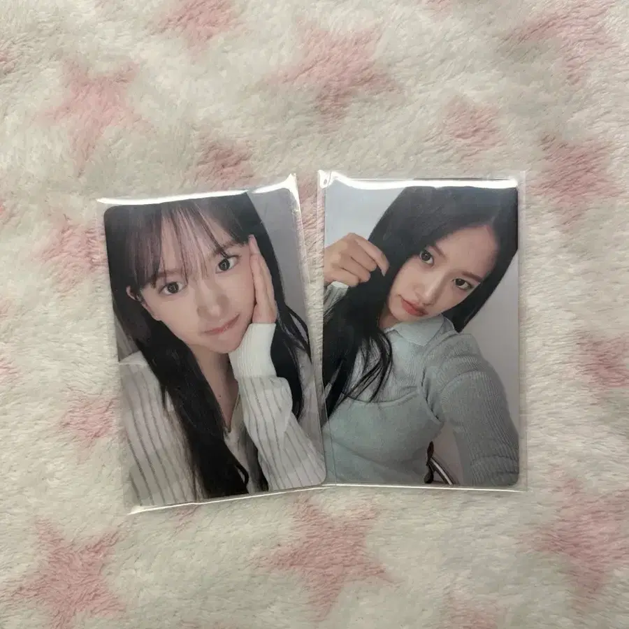 일괄가격) 아이브 안유진 맥심 생일카페 포카 판매