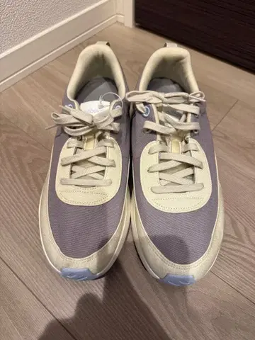 allbirds 쿠리에