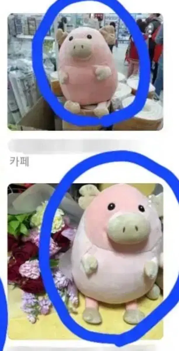 다이소 돼지 인형 단종된 것 구해요