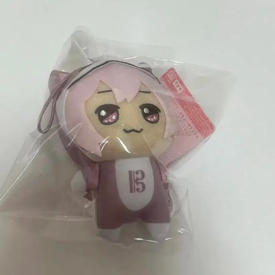 아이나나 동누이 태고누이 텐