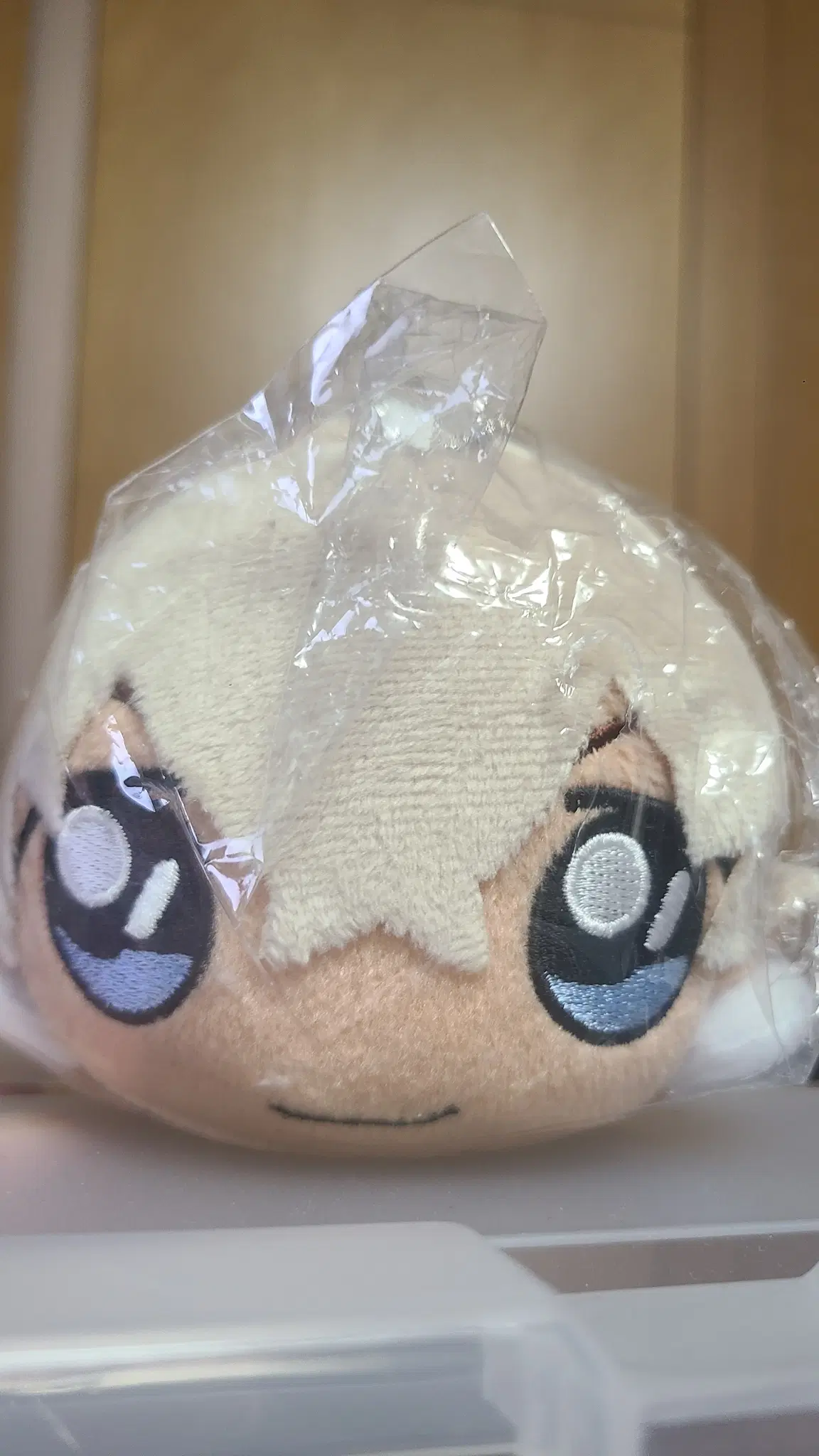 명탐정 코난 아무로 토오루 인형 누이