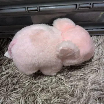 동물 아기 봉제 인형 아기 돼지