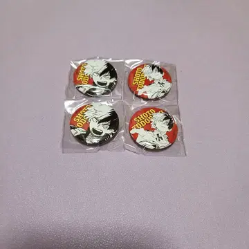 토도로키 올스타 전사 Petit 캔뱃지 히로아카