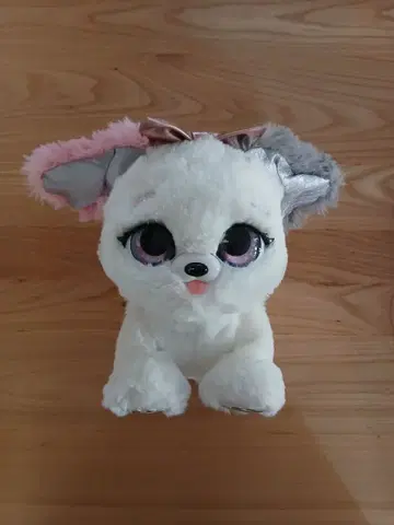 선물 반려동물 핑키 리본 울음소리