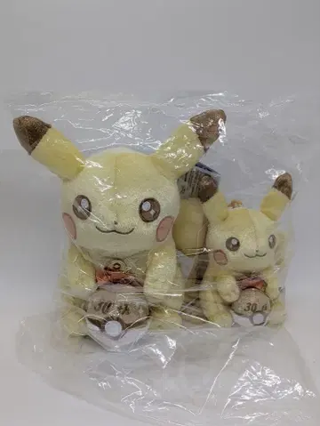 포켓몬 30주년 기념 피카츄 봉제 인형 세트