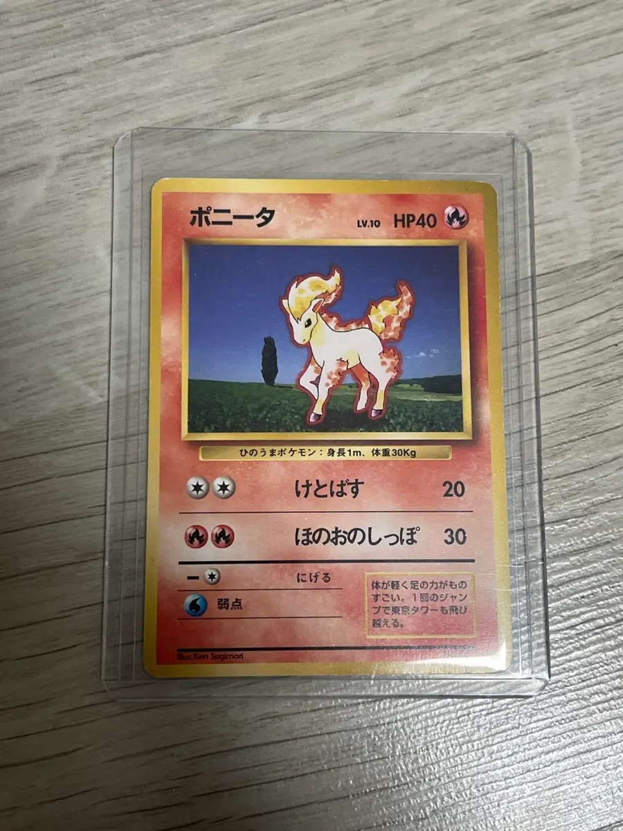 포켓몬스터 1996 초판 포니타 일판
