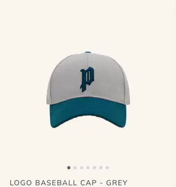 Pointless Journey LOGO BASEBALL CAP GREY