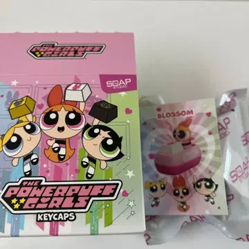 새상품 파워퍼프걸스 키캡 블라썸