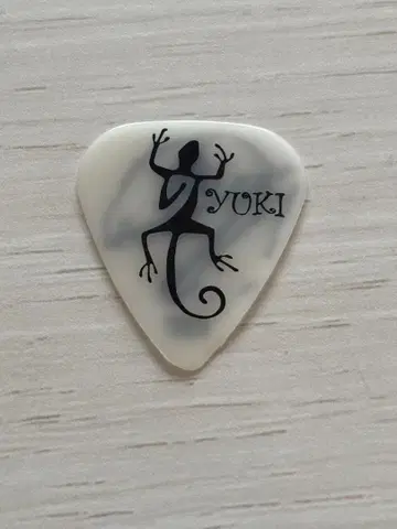 ESP YUKI 시그니처 기타 피크