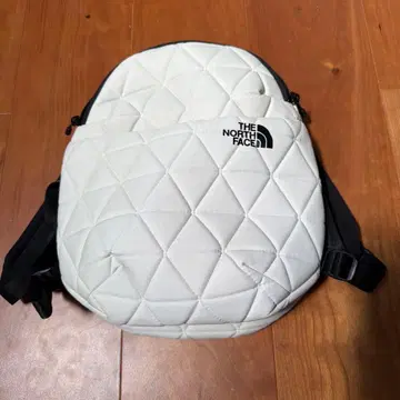 THE NORTH FACE 화이트 지오 페이스 미니팩 6L