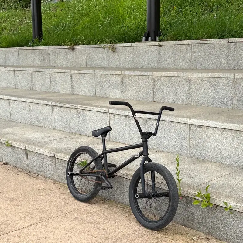 킨크bmx(커스텀)