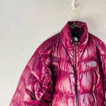 THE NORTH FACE 버건디 다운 자켓