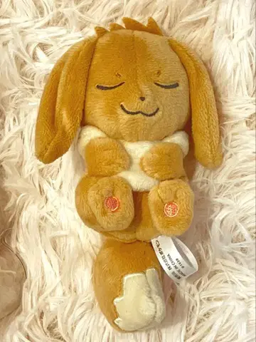 미니 봉제 인형 인 몬스터볼 이브이 미니 봉제 인형 포켓몬 센터