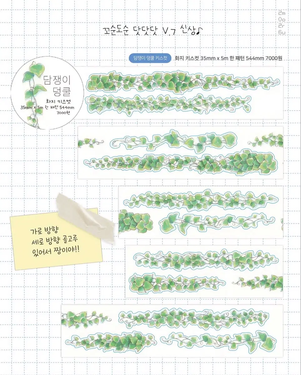 [꼬순도순] 담쟁이덩쿨 키스컷