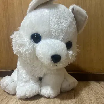 복슬복슬 늑대 아기