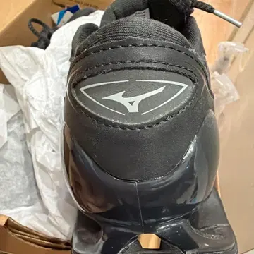 MIZUNO WAVE PROPHECY LS GTX 27cm