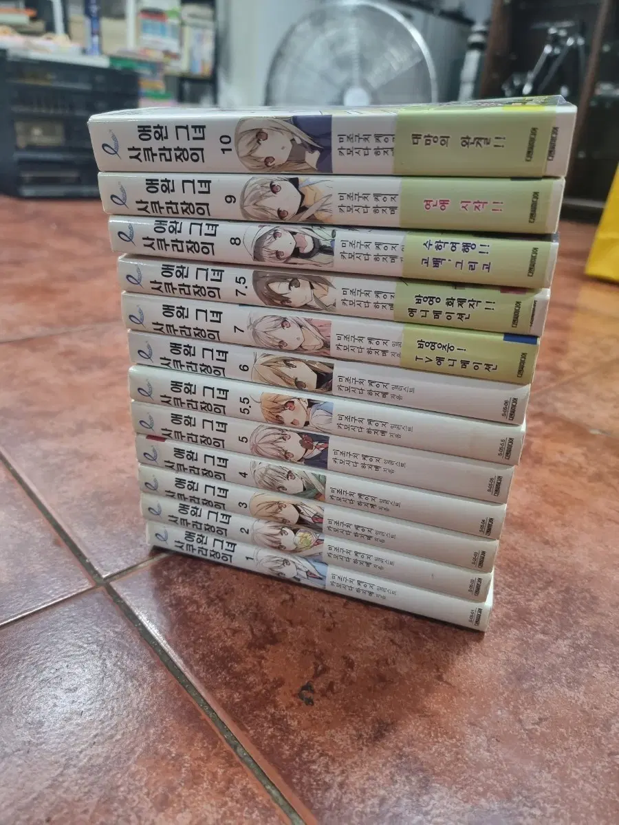 사쿠라짱의 애완 그녀 총 12권일괄