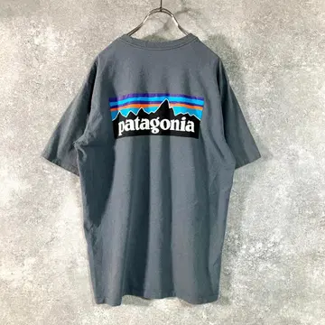 patagonia 티셔츠 그레이 프린트 멕시코제 레스폰서빌리티