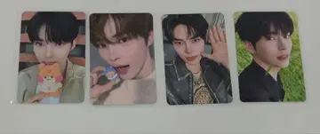ZB1 한빈 비니니 트레이딩 카드 4장 묶음 판매