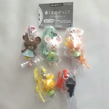 곰돌이 학교 컬러풀 멀티 참 전 5종 세트