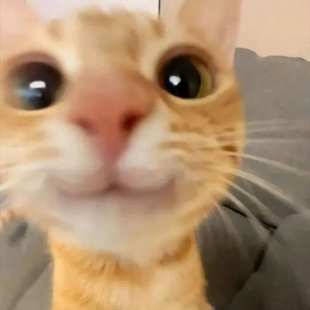 뱐택용 보증금 결제창